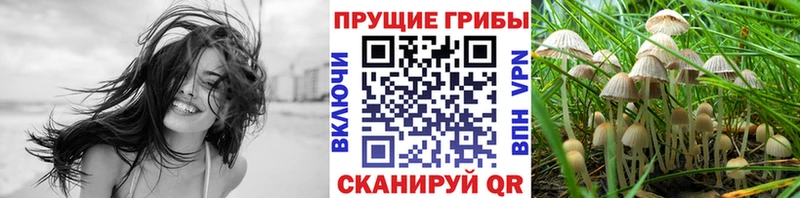 купить закладку  Ельня  Псилоцибиновые грибы ЛСД 